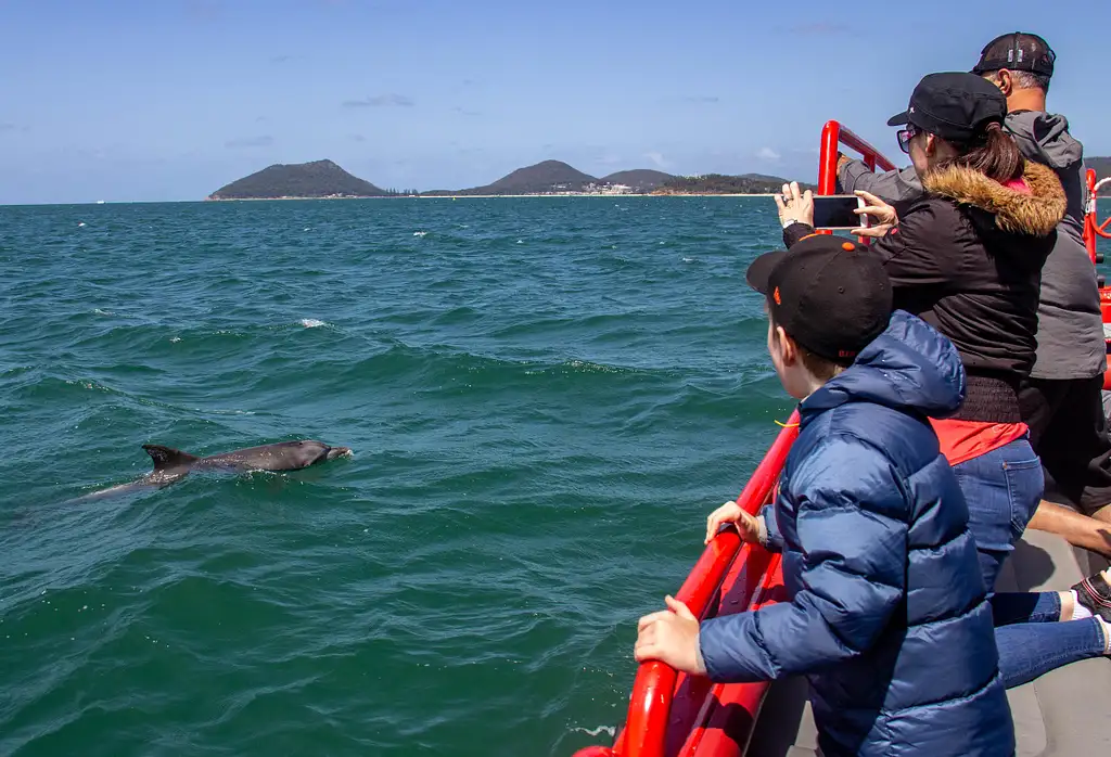 Port Stephens Dolphin Watching Express