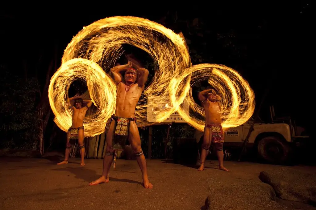 Night Safari Tour in Singapore with Dinner