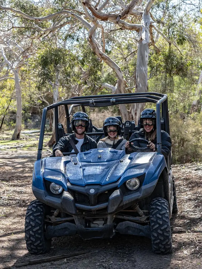 2 Hour Surf & Sand Buggy Adventure | From Vivonne Bay