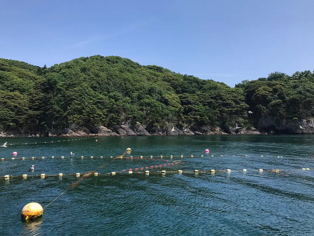 90-Minute Art Cruise in Ishinomaki (Aug & Sep)