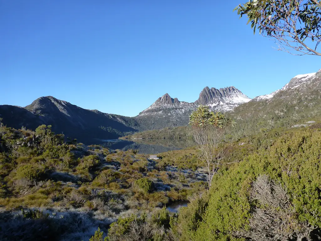 Cradle Mountain Explorer: Hobart to Launceston | One way