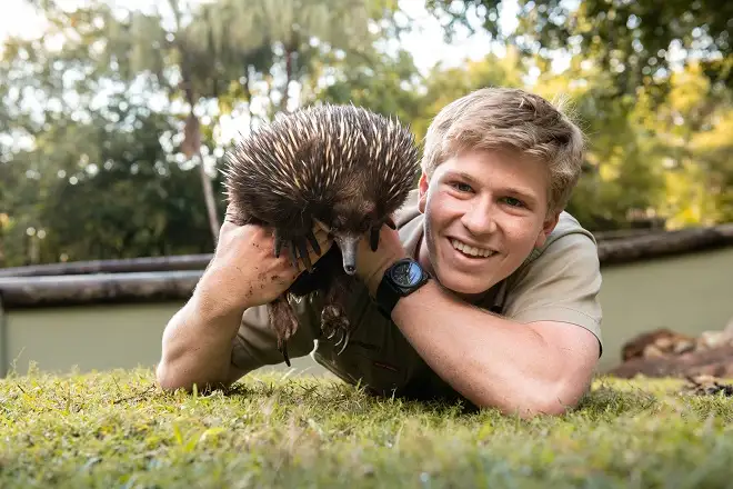 AUSTRALIA ZOO Transfer including Entry Ticket | Sunshine Coast
