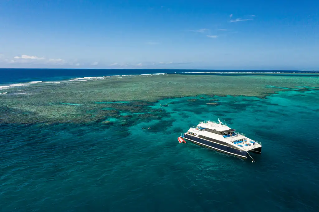 Calypso Outer Great Barrier Reef Snorkel Tour | From Port Douglas