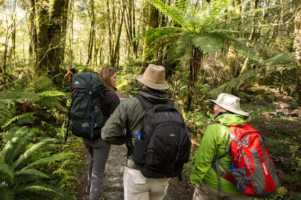 3 Day Fiordland Great Walk Package | 3 Hikes from Te Anau