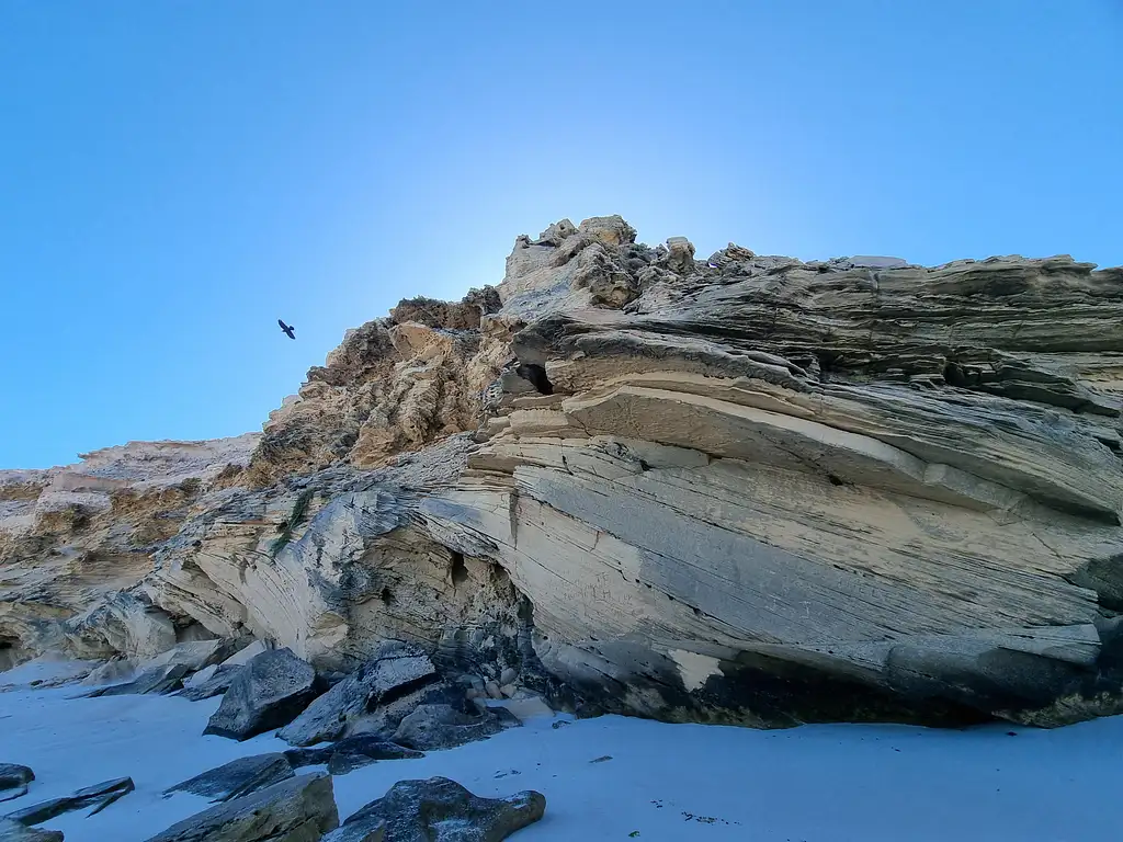 Coffin Bay Oysters & Sightseeing 4WD Tour