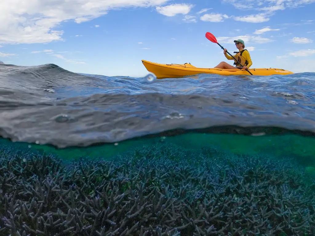 Coral By Kayak | Exmouth