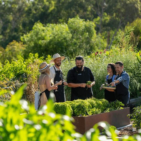 Barossa wine tasting