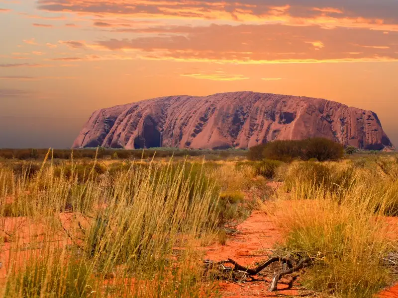 Start & End Alice Springs 5 Day 4 Night Uluru Tour (Kangaroo)