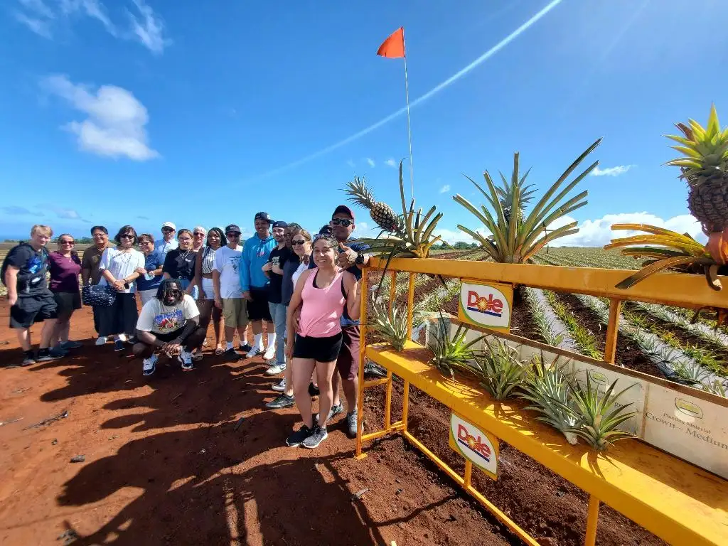 North Shore & Dole Pineapple Tour
