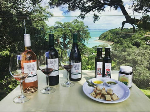 Waiheke Island vineyard tour