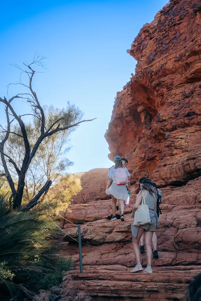 5 Day Outback Camping Adventure | Yulara to Alice Springs