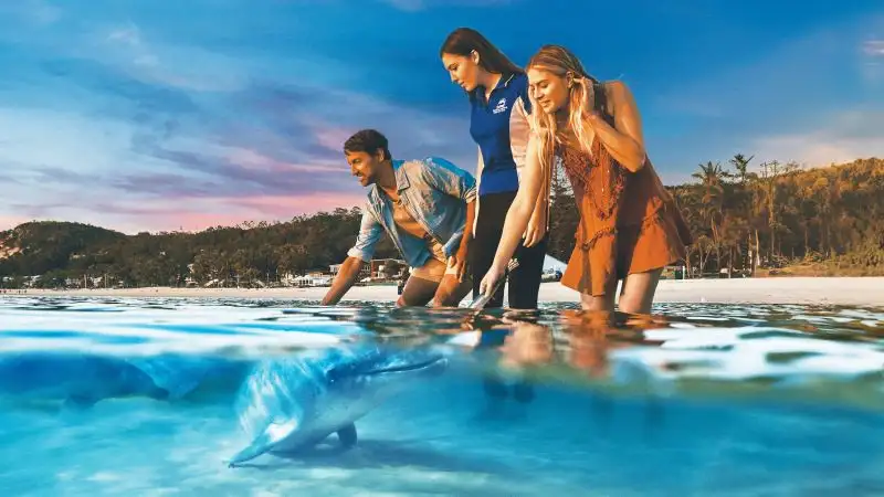 Marine Discovery Day Cruise with option to upgrade to Dolphin Feeding | Moreton Island