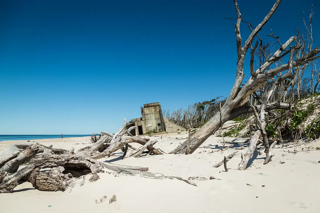 Bribie Island 4WD, Kayak, Beach & Bunker Half Day Tour | Bribie Island