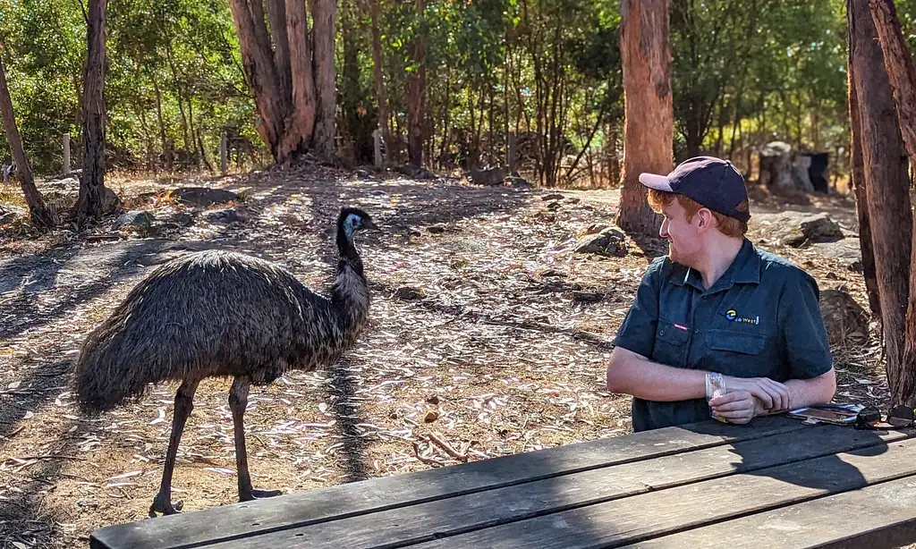 Grampians National Park Day Tour | From Melbourne