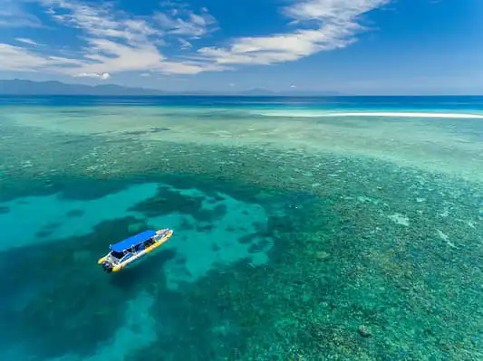Cape Tribulation Ocean Safari Adventure