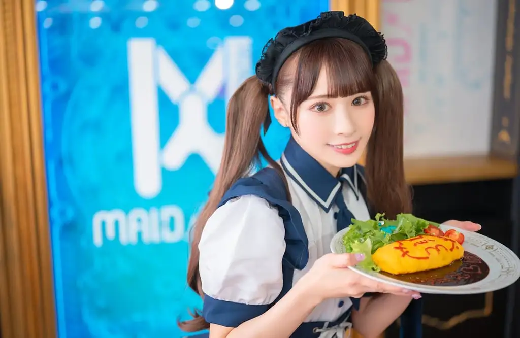 Become a Maid Experience at Akihabara Maid Café