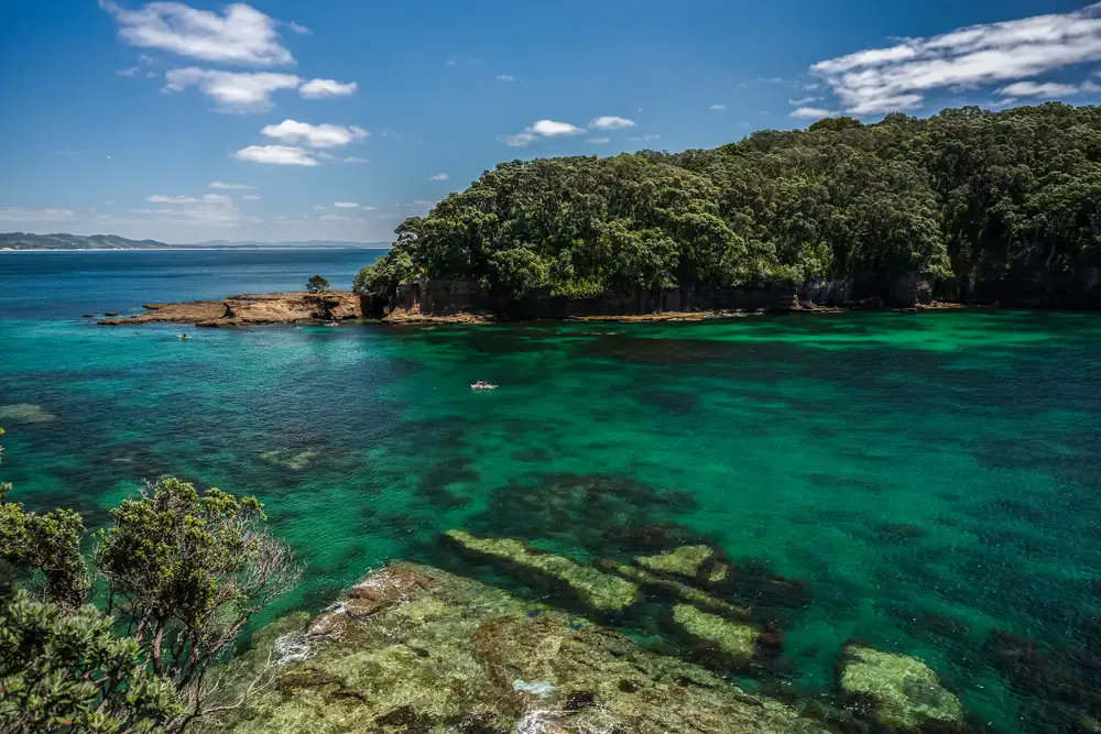 Goat Island Marine Reserve Day Tour
