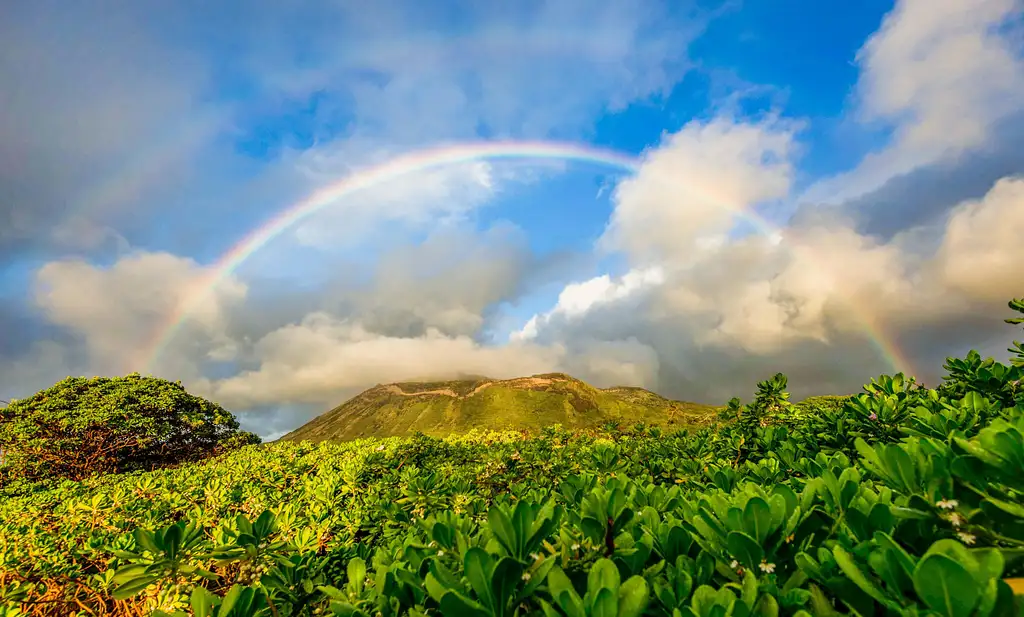 Oahu Island & Sunrise Photo Adventure
