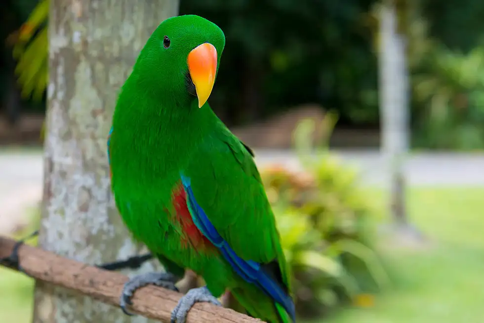 Daintree Rainforest & Great Barrier Reef 2 Day Package **SAVE $49pp**