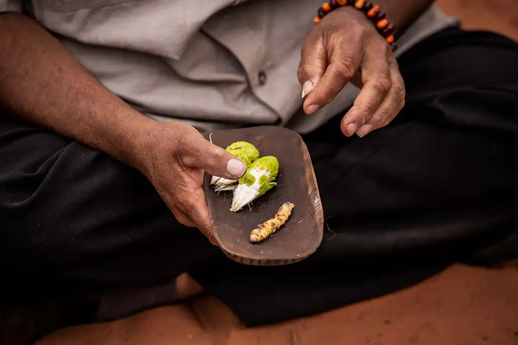 Karrke Aboriginal Cultural Tour