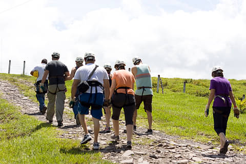 group-walk-rainforest