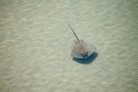 Exmouth Gulf & Ningaloo Reef Microlight Lesson Deals
