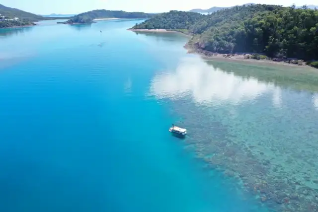 Glass Bottom Boat Tour | From Shute Harbour