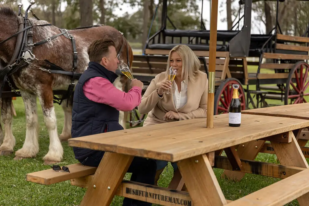Harvest the Hunter Horse and Carriage Wine Tour