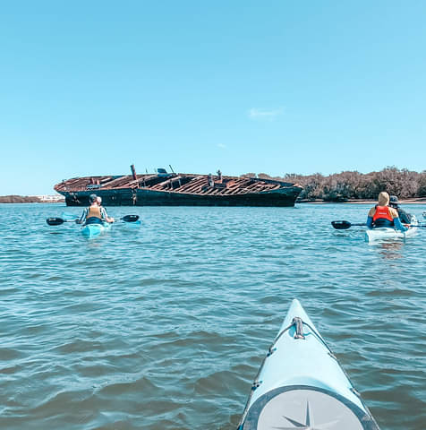 Adelaide Dolphin Sanctuary