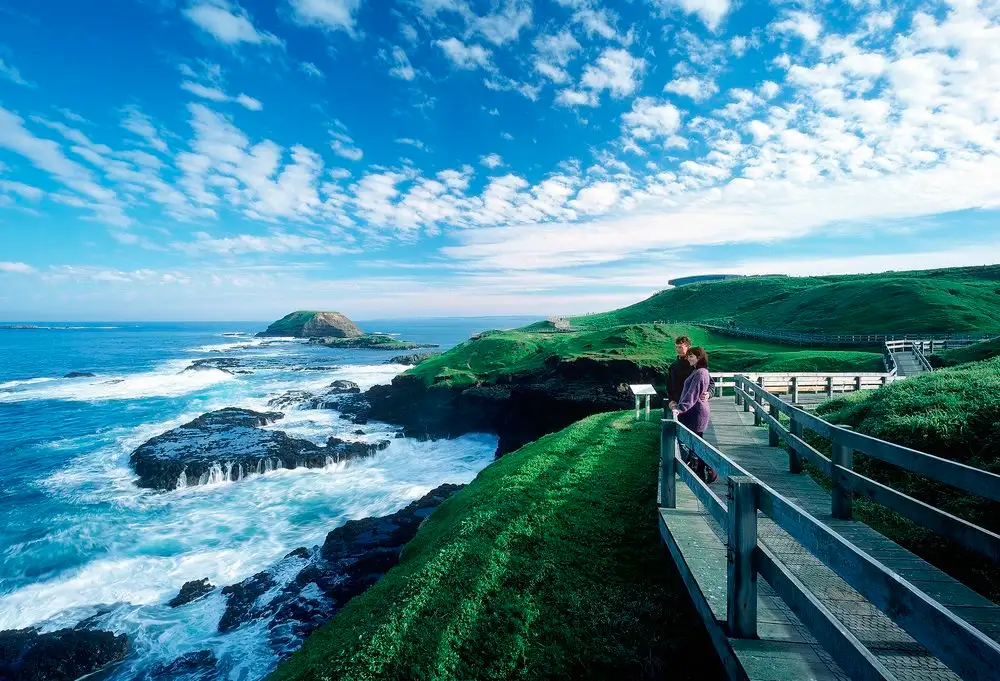 Phillip Island Penguin Parade Express Tour