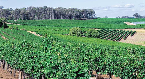 Margaret River Indulge and Discover Tour
