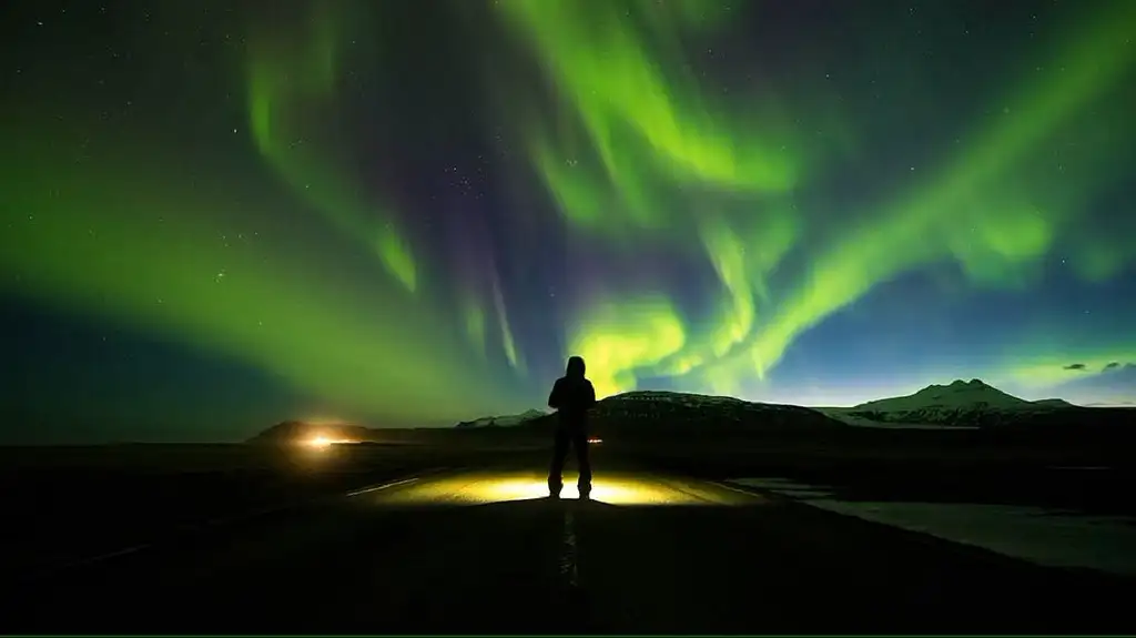 Blue Lagoon Admission and Northern Lights Guided Tour in Reykjavik