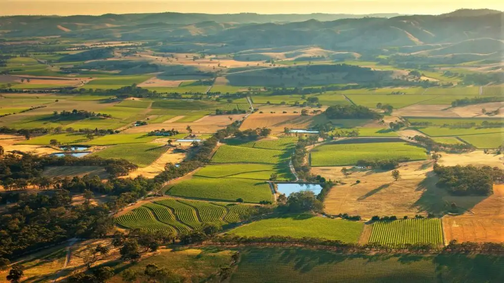 Uncork Barossa Small Group Wine Tour