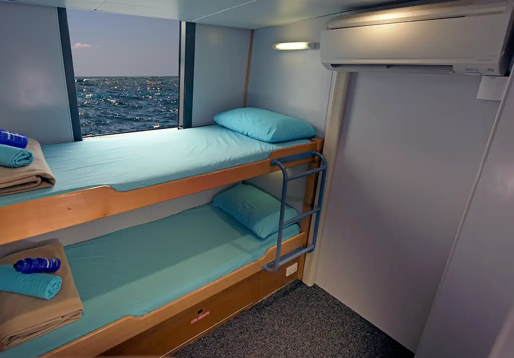 3 Day Great Barrier Reef Liveaboard Package | Snorkel or Dive