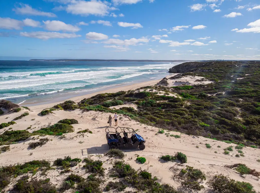 2 Hour Surf & Sand Buggy Adventure - Vivonne Bay