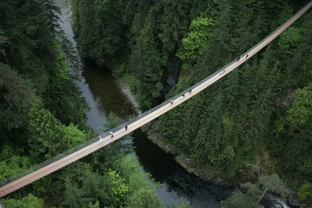 Vancouver City and Capilano Suspension Bridge Tour