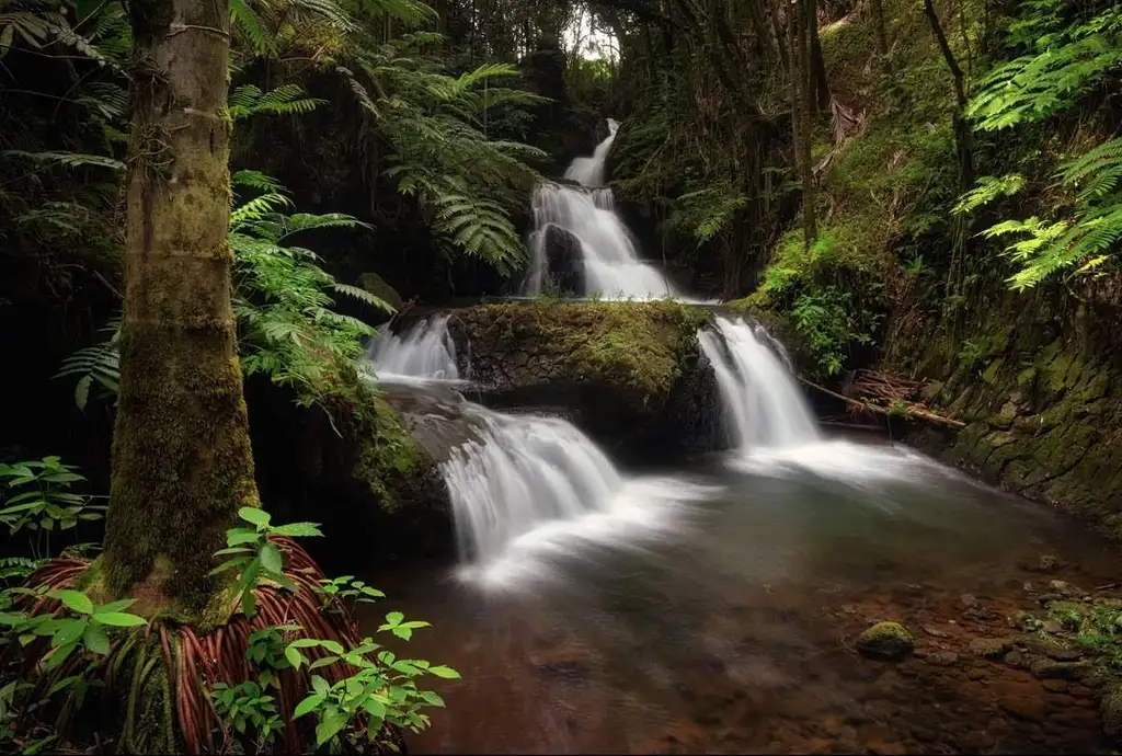 Big Island Waterfalls Adventure