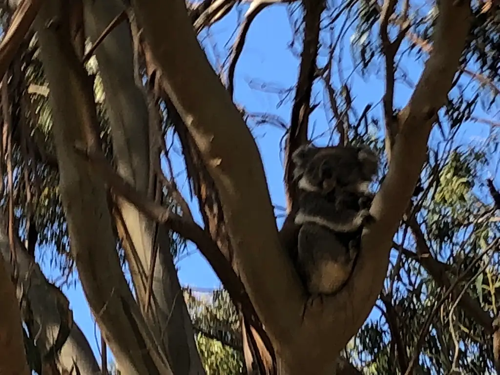 Evening 4WD Tour Kangaroo Island