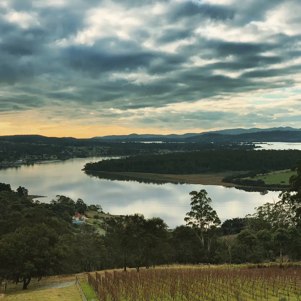 Tamar Valley Wine & Gin Tour