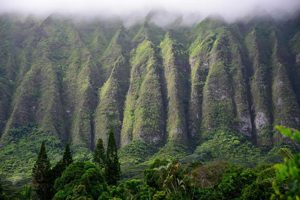3 Hour Hawaii Sunrise Photography Tour