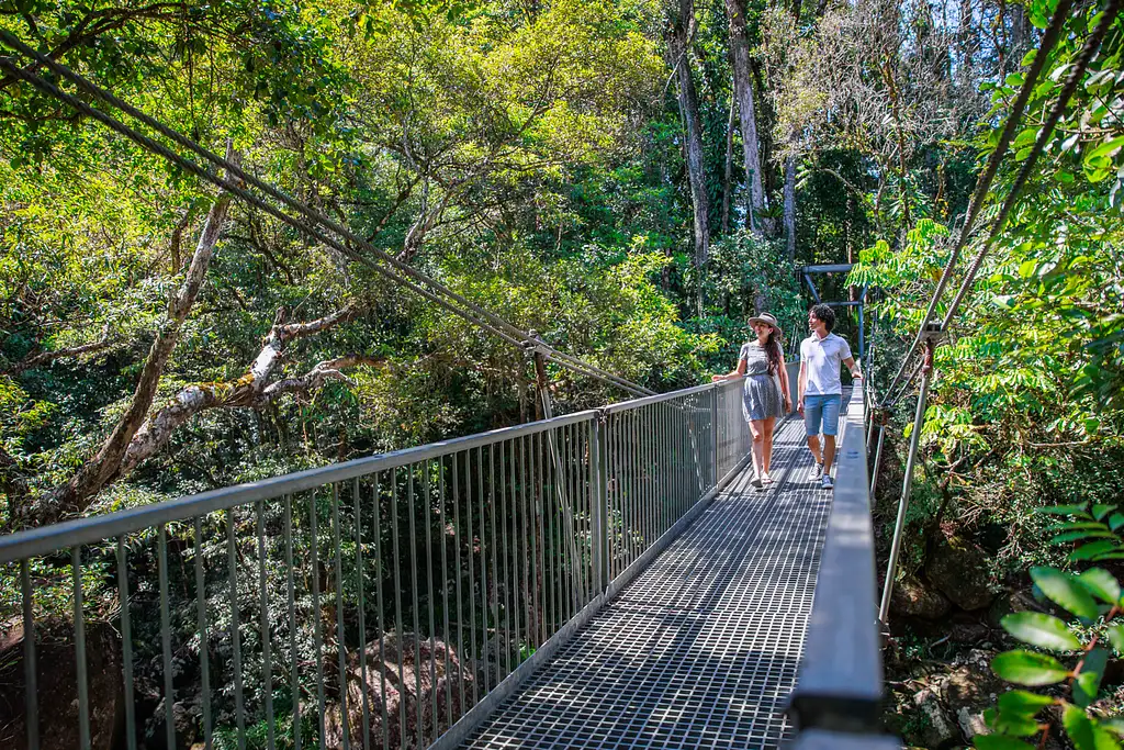 Daintree Dreaming Full Day Tour