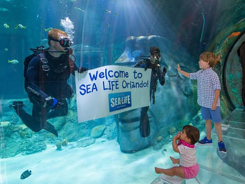 1H Sea Life Orlando Aquarium Admission Ticket