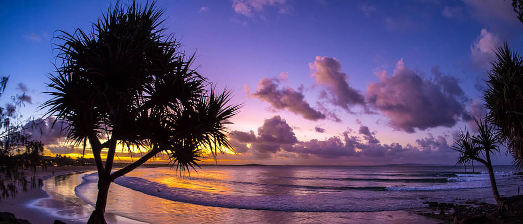 Sunset Behind Palm Tree At A Beach In Noosa