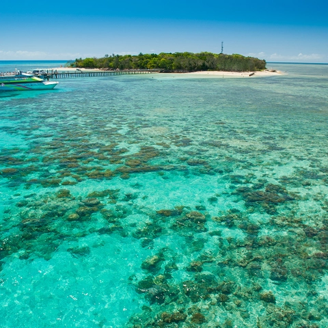 Green Island Reef Cruises Snorkelling Discounts