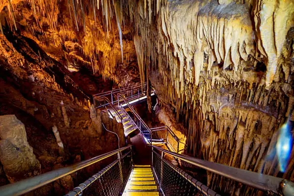Hastings Caves & Tahune Huon Valley Tour