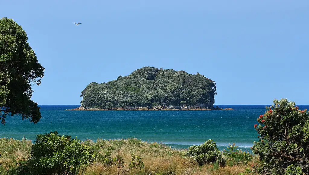 Whenuakura (Donut) Island Deluxe Guided Experience