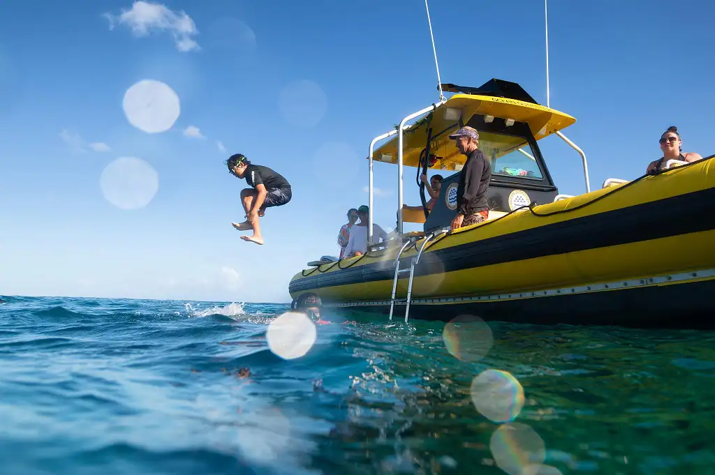 North Shore Snorkeling Tour