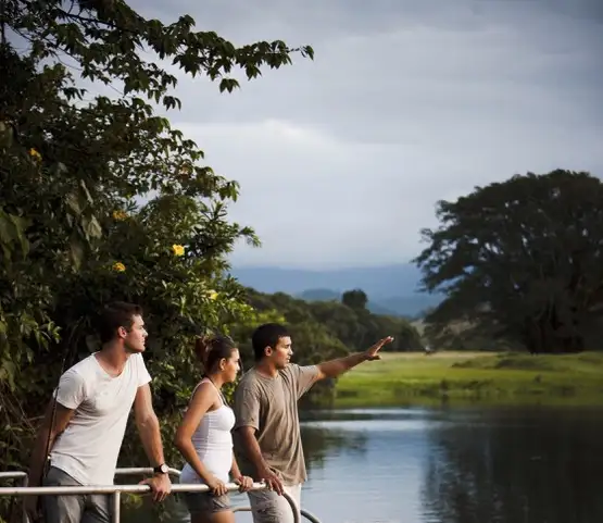 Full Day Or Half Day Daintree Rainforest Walkabout