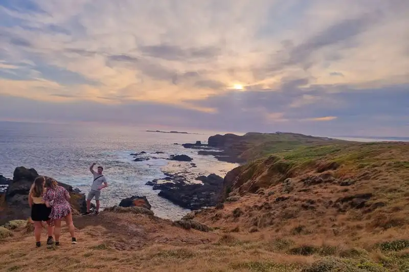 Phillip Island Wine, Wildlife, & Penguins Tour from Melbourne
