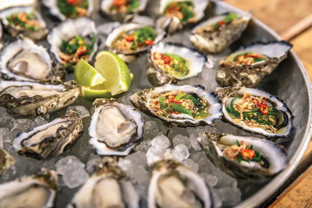 Coffin Bay Oyster Farm Day Tour